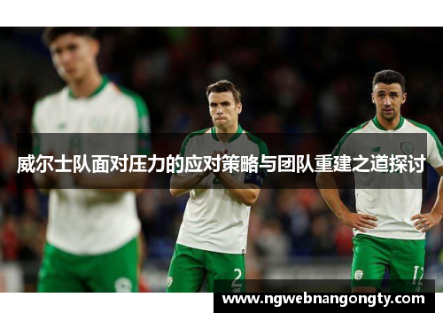 威尔士队面对压力的应对策略与团队重建之道探讨