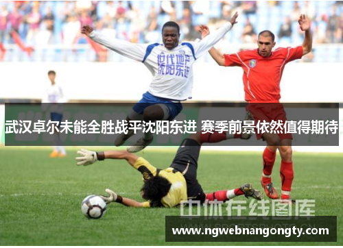 武汉卓尔未能全胜战平沈阳东进 赛季前景依然值得期待