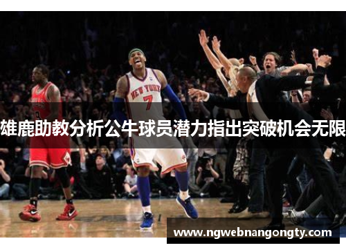雄鹿助教分析公牛球员潜力指出突破机会无限