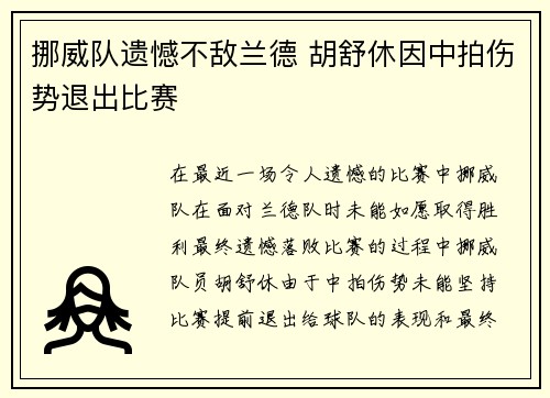 挪威队遗憾不敌兰德 胡舒休因中拍伤势退出比赛