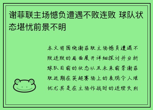 谢菲联主场憾负遭遇不败连败 球队状态堪忧前景不明