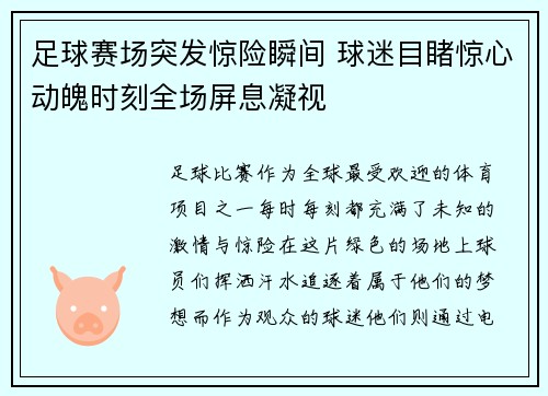 足球赛场突发惊险瞬间 球迷目睹惊心动魄时刻全场屏息凝视