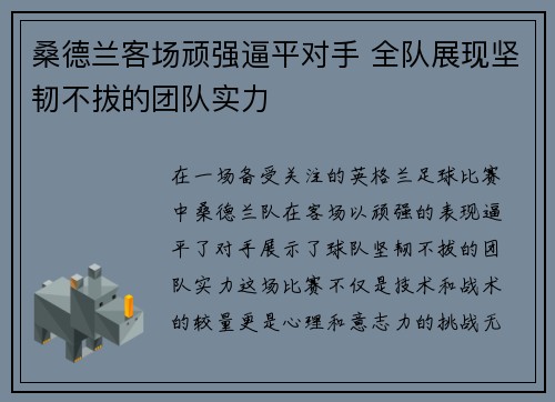 桑德兰客场顽强逼平对手 全队展现坚韧不拔的团队实力
