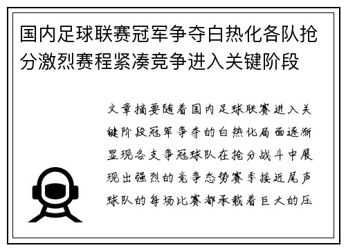 国内足球联赛冠军争夺白热化各队抢分激烈赛程紧凑竞争进入关键阶段
