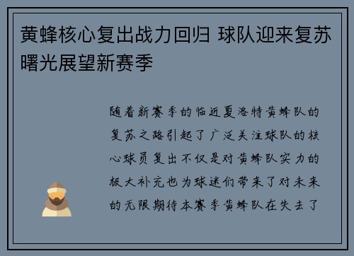 黄蜂核心复出战力回归 球队迎来复苏曙光展望新赛季